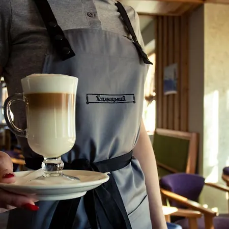 호텔 поляницький